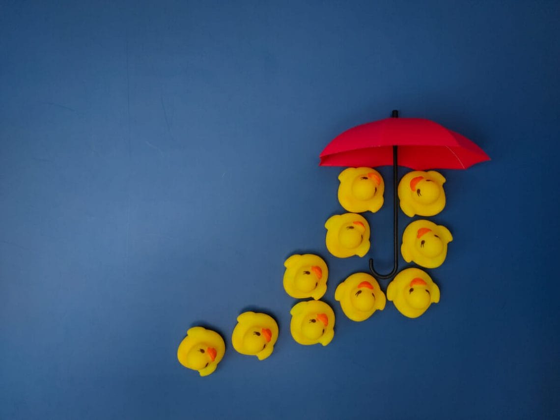 red umbrellas and yellow ducks on a blue backgroun 2023 01 19 19 06 48 utc