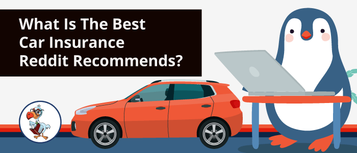 reddit car insurance guide steps tips beginner new driver