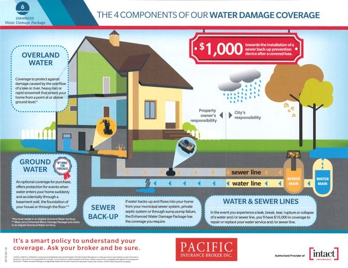 water damage insurance adjuster tips renter