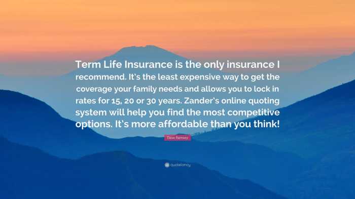 finding the best life insurance quotes tips