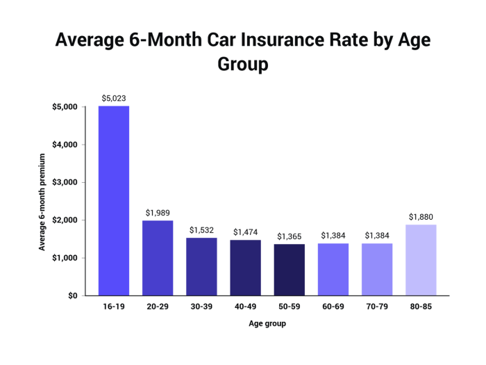 Average 6 MonthCar Insurance Rate by Age Grou.width 1320 1