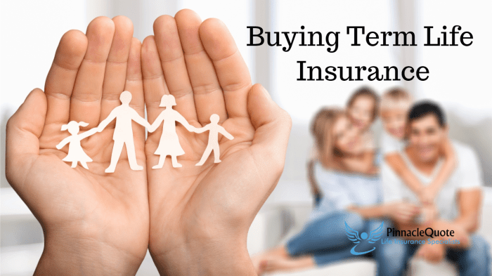 tips for buying term life insurance online terbaru