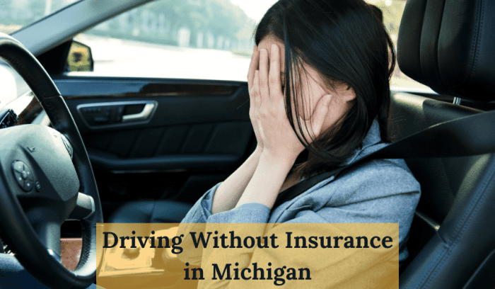 insurance driving michigan without need know
