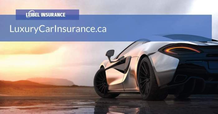insurance car luxury ca
