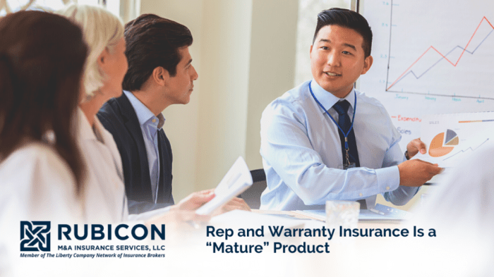 Rubicon Rep and Warranty Insurance Is a Mature Product 1 1024x576 1