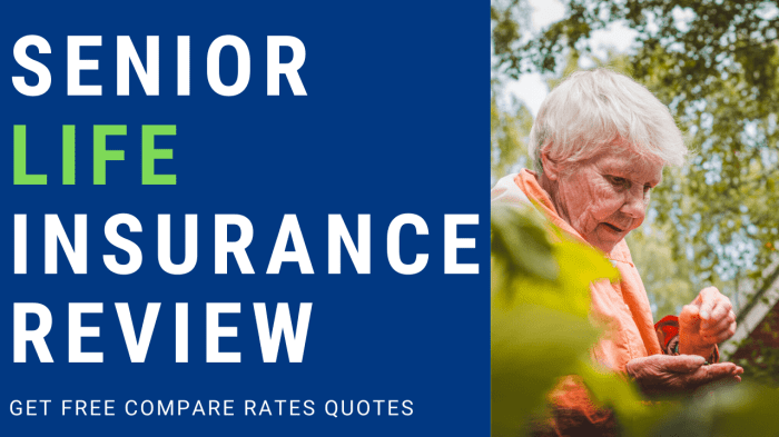 insurance seniors aarp