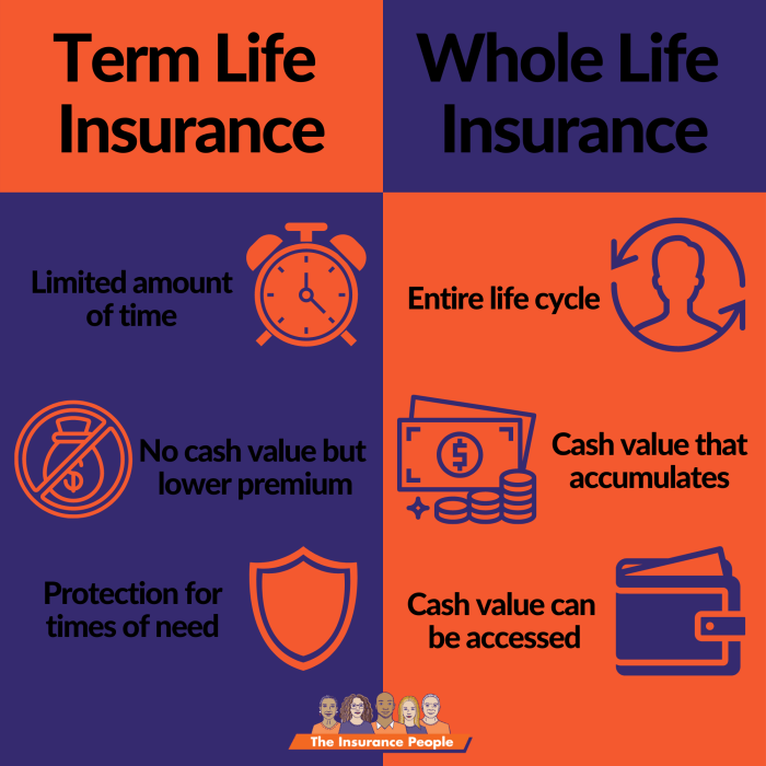 insurance life term why buy reasons month permanent versus