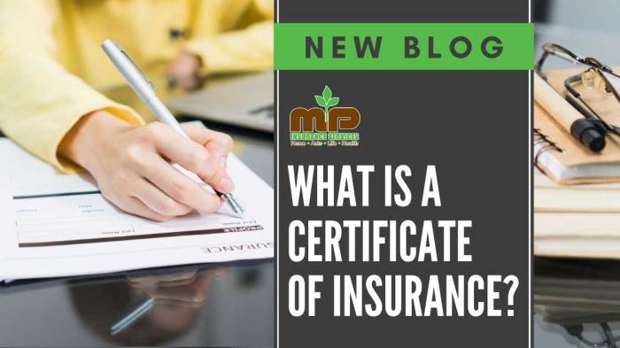 how do i get tips certified for my insurance company terbaru