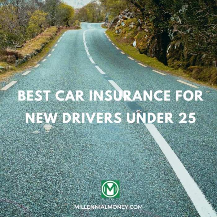 tips for cheap car insurance for new drivers terbaru