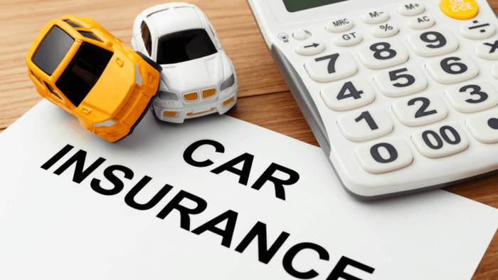 insurance policy car review go