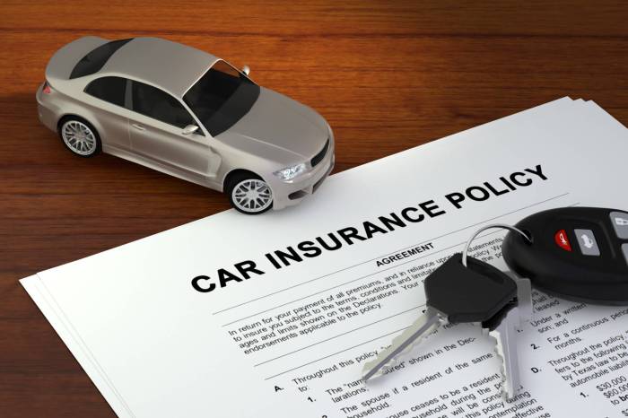 insurance auto plan