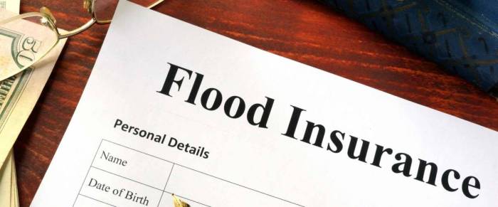 flood insurance rates up tips to keep you afloat business terbaru