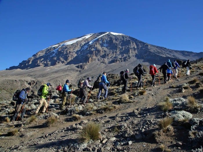 travel insurance tips for kilimanjaro climbers terbaru