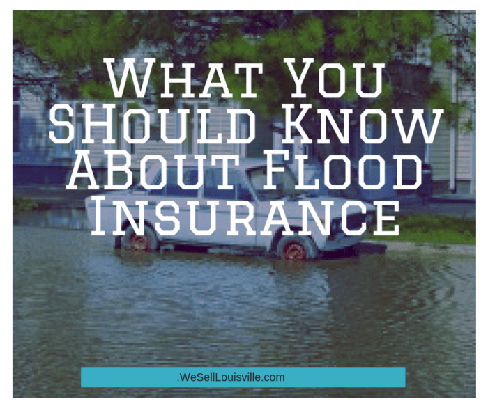 tips for dealing with a flood insurance claim terbaru