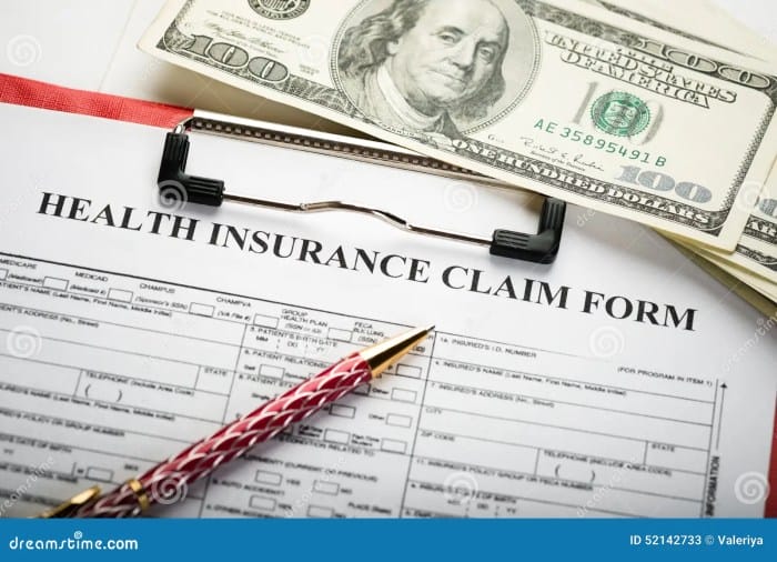 application insurance form health preview life