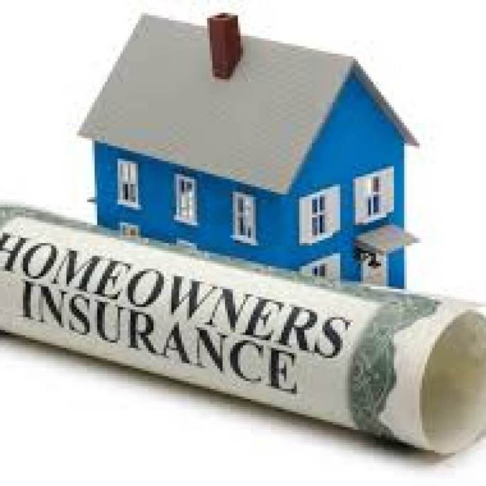 insurance homeowners house homeowner company policy property owner damage cover owners policies know termite overview nj attorney guide coverage does