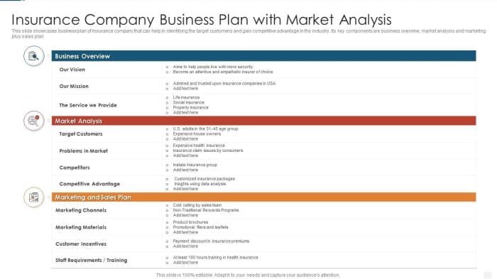 insurance company business plan with market analysis slide01