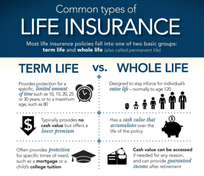 tips for buying term life insurance online terbaru
