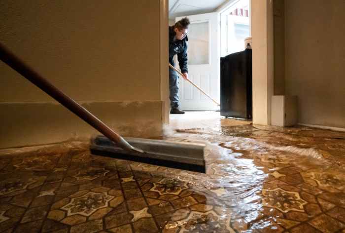 water damage insurance adjuster tips renter terbaru