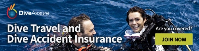 insider tips booking cruise insurance scuba diving terbaru