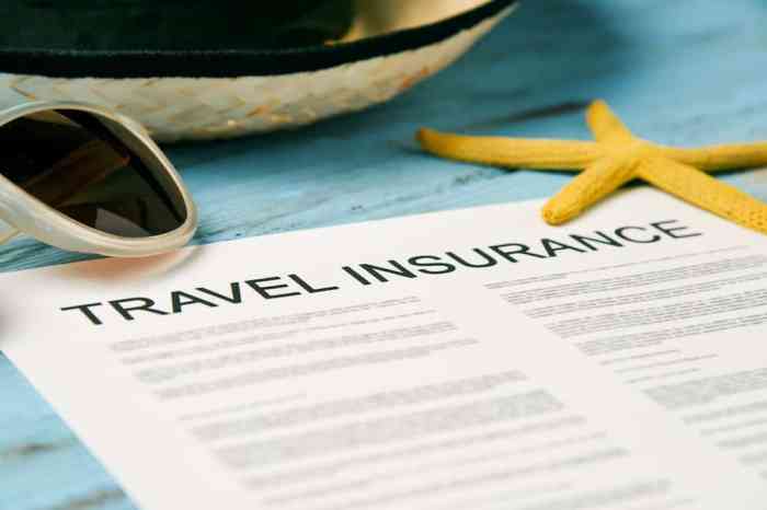 tips for new travel insurance purchaser in usa